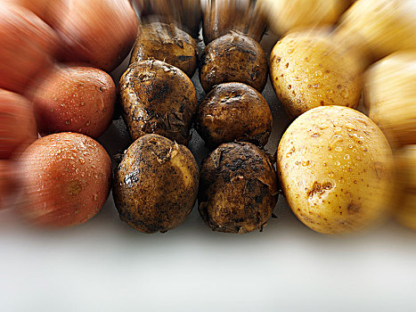 土豆,三个,品种