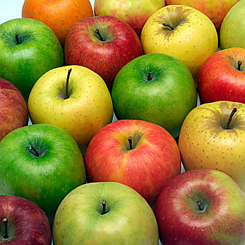 种类,金色,澳洲青苹果,苹果