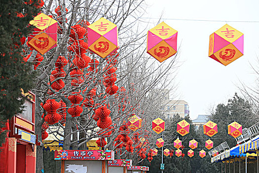 2018年2月9日北京东城区地坛公园庙会