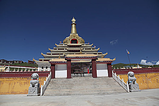 藏居寺庙草原牛羊,喇叭觉母,草原