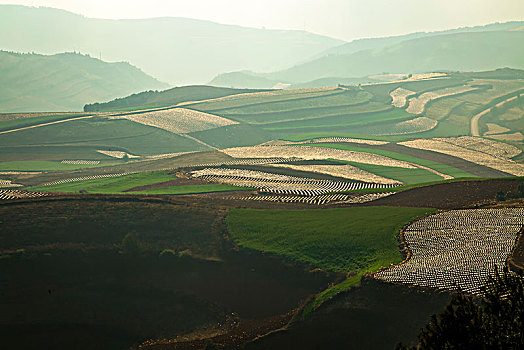 田地