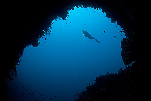潜水,洞穴,苏拉威西岛,印度尼西亚