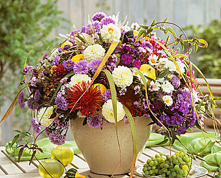 秋天,安放,紫苑属,大丽花,福禄考属植物,观赏葫芦