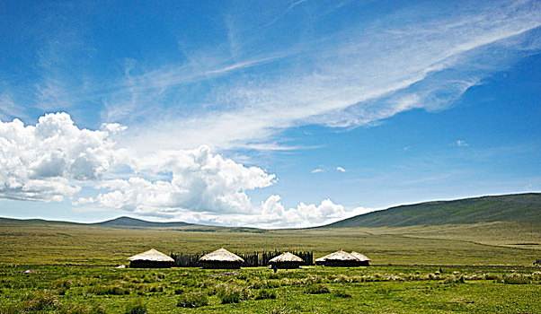 小屋,乡村,恩格罗恩格罗,保护区,坦桑尼亚,非洲