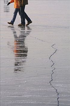 两个,步行者,反射,冰冻,缝隙,表面,哈弗尔河,河,波茨坦,德国,欧洲