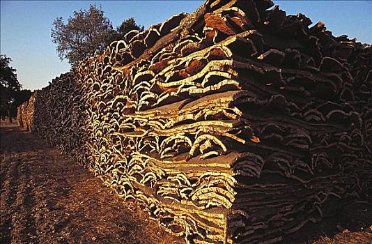 树皮,栓皮栎,农业,葡萄牙,欧洲