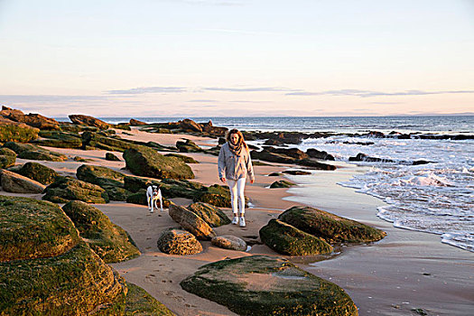 女人,遛狗,岩石,海滩,斗篷,特拉法尔加,西班牙
