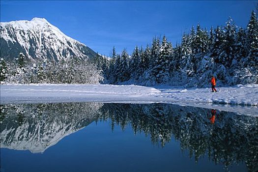男人,越野滑雪,湖,冬天