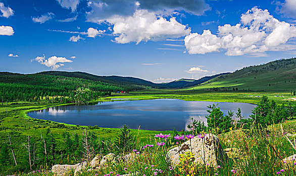 蓝湖,绿色,植被,蒙古,亚洲