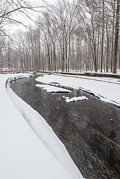 冬季长白山的雪地树林冰河