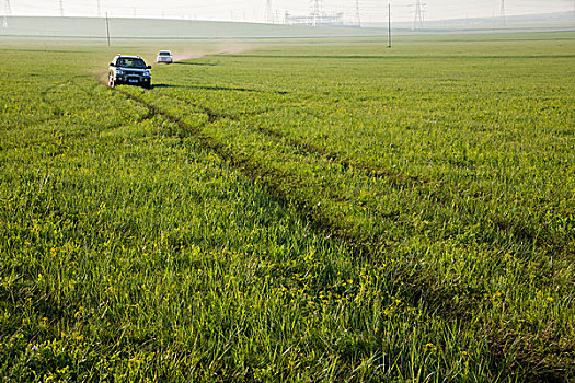 内蒙古呼伦贝尔陈巴尔虎旗草原上行驶的汽车