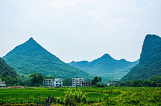 桂林田园风光