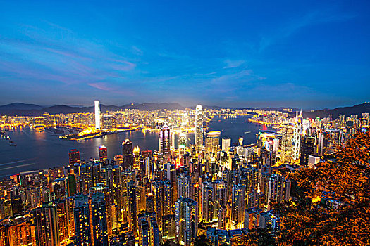 天际线,城市,现代,香港,夜晚