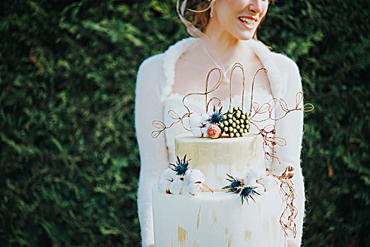 新娘,婚礼蛋糕,树篱,背景
