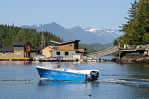 温哥华岛,摩托艇,正面,漂浮,房子,山,背景