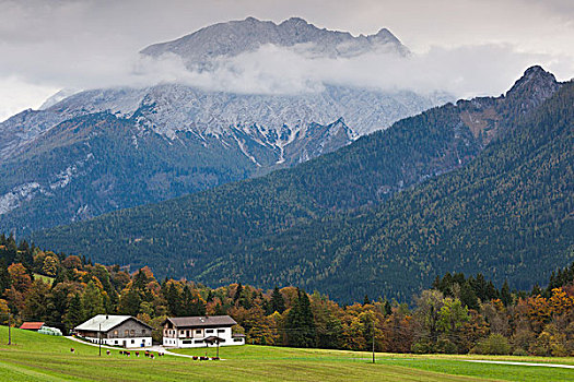 德国,巴伐利亚,阿尔卑斯山