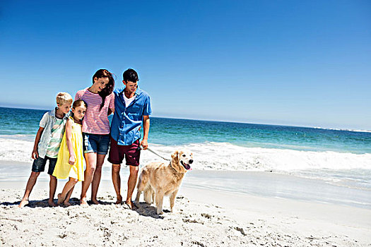 可爱,家庭,遛狗,海滩
