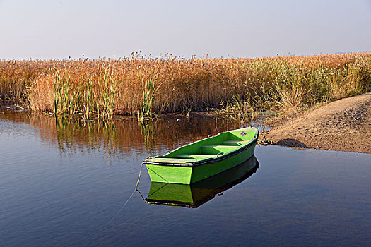 扎龙湿地