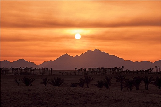 日落,沙漠,撒哈拉沙漠,落基山脉