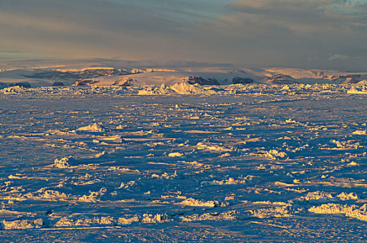 南极,威德尔海,迅速,冰,隆起,海冰,雪丘岛,背景,晚间