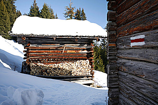 小村庄,冬天,远足,小路,斯堪费格,山谷,瑞士,欧洲
