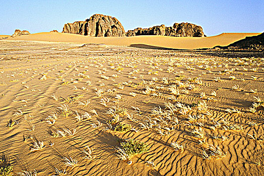 阿尔及利亚,阿哈加尔,沙子,石头,背景
