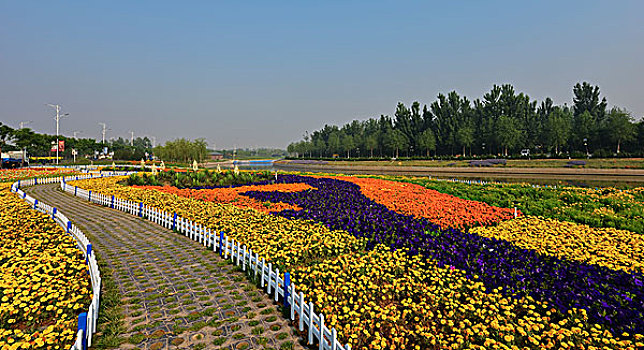 花海