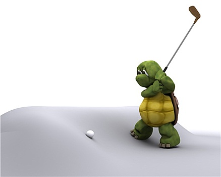龟,玩,高尔夫