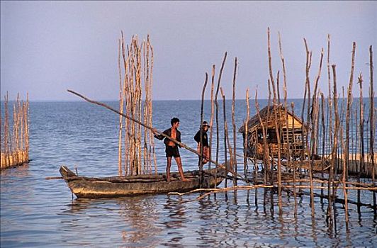 漂浮,乡村,湖,树液,区域,柬埔寨