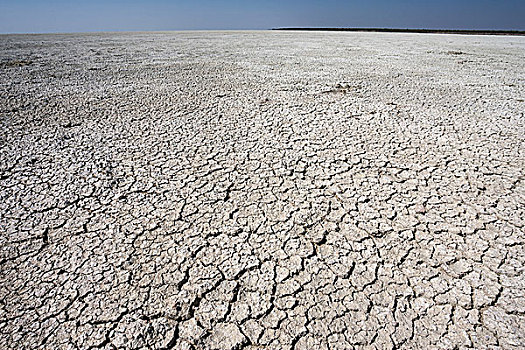 干枯,缝隙,盐磐,埃托沙国家公园,纳米比亚,非洲