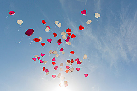 翱翔,心形,气球,白色,红色,粉色,蓝天