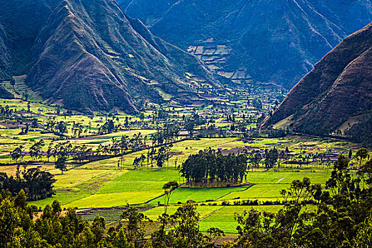 农田,因巴布拉省,省,厄瓜多尔