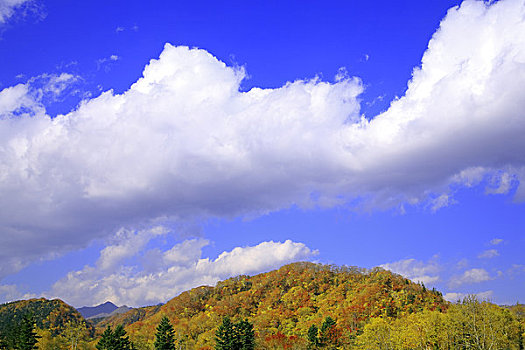 彩色,山