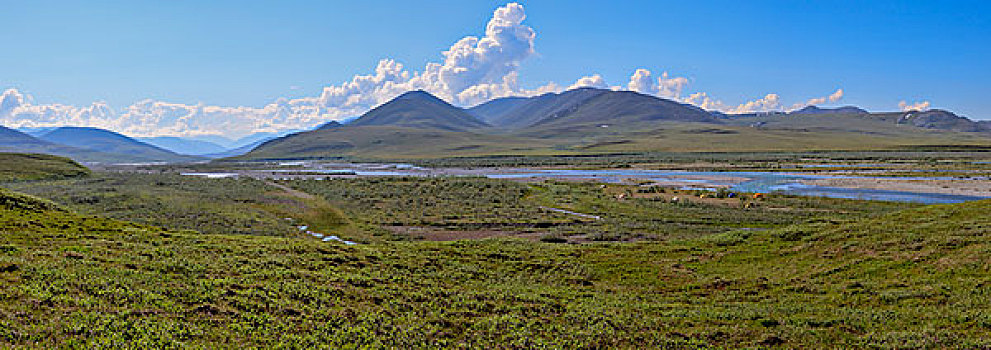 全景,河,北极国家野生动物保护区,阿拉斯加,大幅,尺寸