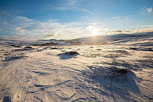 雪景,国家公园,挪威,欧洲