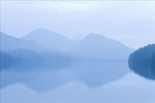 湖,晨雾,萨尔茨卡莫古特,萨尔茨堡,奥地利