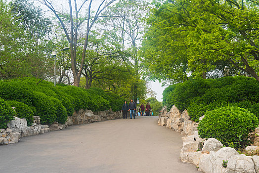 济南泉城公园的春天
