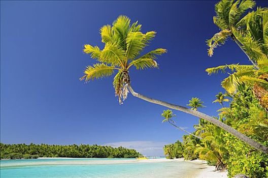 海滩,一个,脚,岛屿,艾图塔基泻湖,爱图塔基,库克群岛