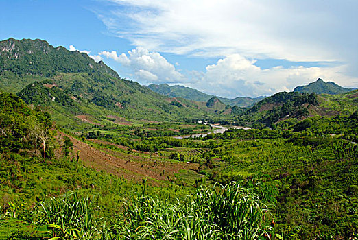 绿色,风景,山谷,山峦,河,禁止,琅勃拉邦,省,老挝,东南亚,亚洲