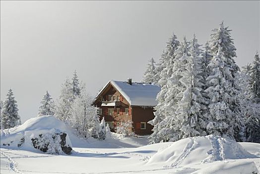 积雪,阿尔卑斯小屋,阿尔卑斯山,瑞士,欧洲