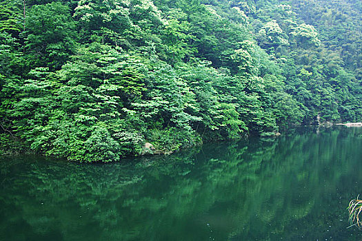 国家级自然保护区太湖源头