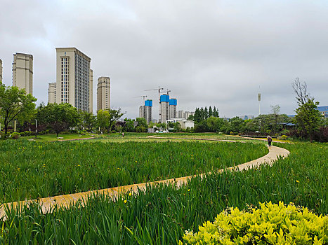 山东省日照市,大雨过后的公园水面如镜,市民悠闲垂钓乐享周末