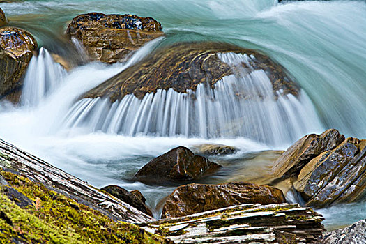 毯子,溪流,省立公园,萨瑟兰,不列颠哥伦比亚省,加拿大