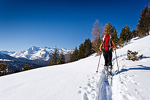 越野滑雪者,上升,山,群体,后面,白云岩,特兰迪诺,意大利,欧洲