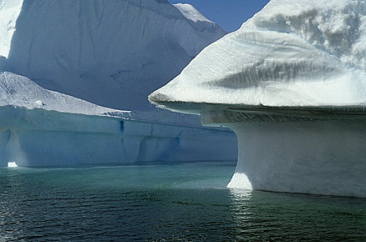 南极,冰山,融化