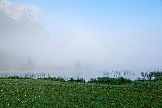 晨雾,湖岸