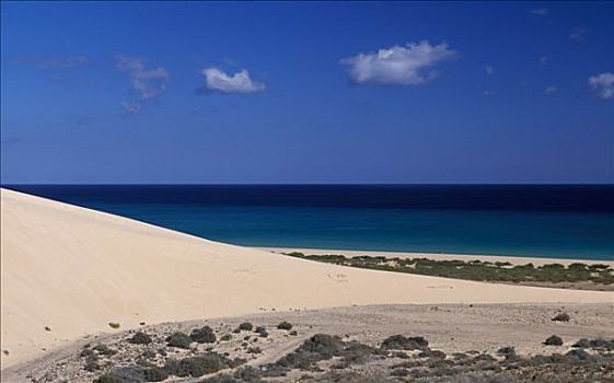 沙丘,干盐湖,海滩,富埃特文图拉岛,加纳利群岛,西班牙,欧洲