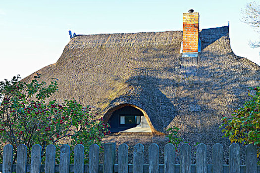 房子,芦苇,屋顶,阿伦斯霍普,波罗的海,费施兰德-达斯-茨因斯特,梅克伦堡州,德国