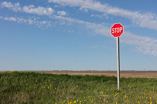 停车标志,乡村道路,农场,靠近,卡迪拉克,萨斯喀彻温,加拿大