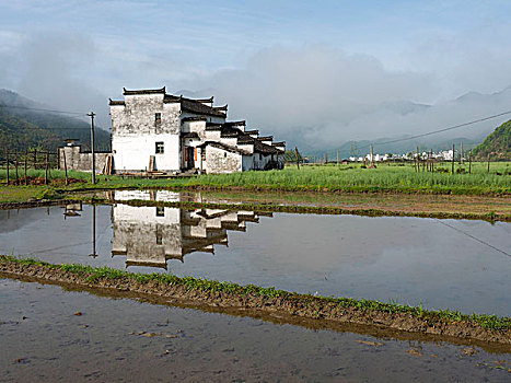 婺源西垣村田园风景